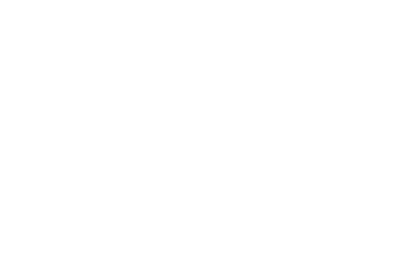 Nimax logo